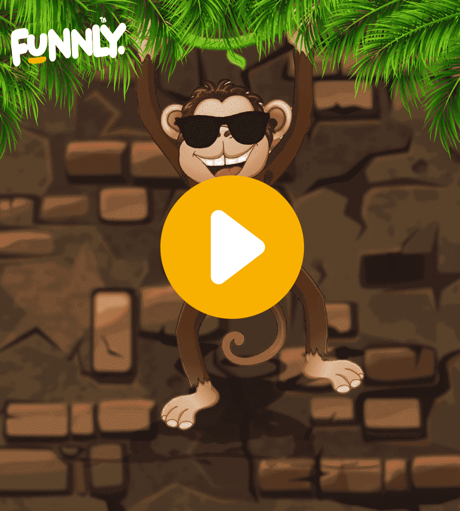 monkey